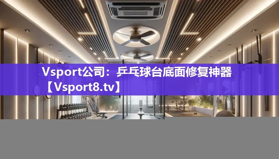 Vsport公司：乒乓球台底面修复神器