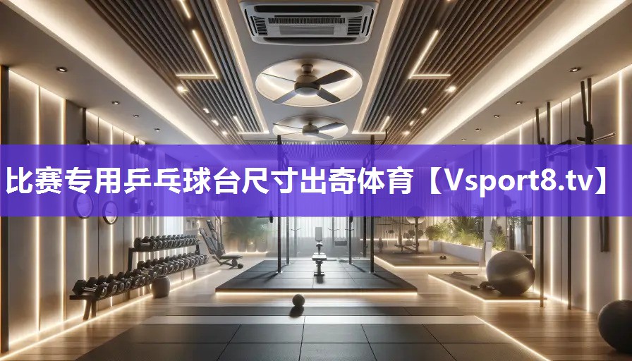 比赛专用乒乓球台尺寸出奇体育