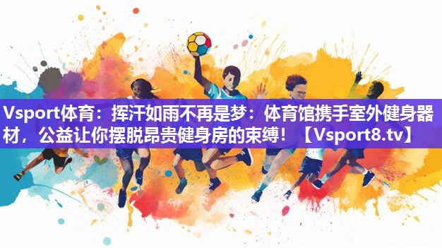 Vsport体育：挥汗如雨不再是梦：体育馆携手室外健身器材，公益让你摆脱昂贵健身房的束缚！