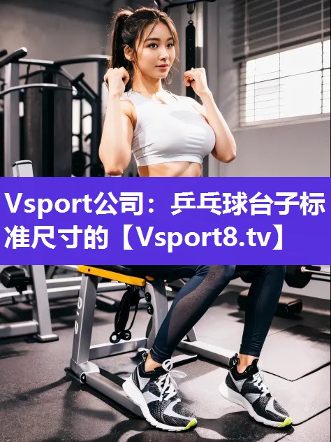 Vsport公司：乒乓球台子标准尺寸的