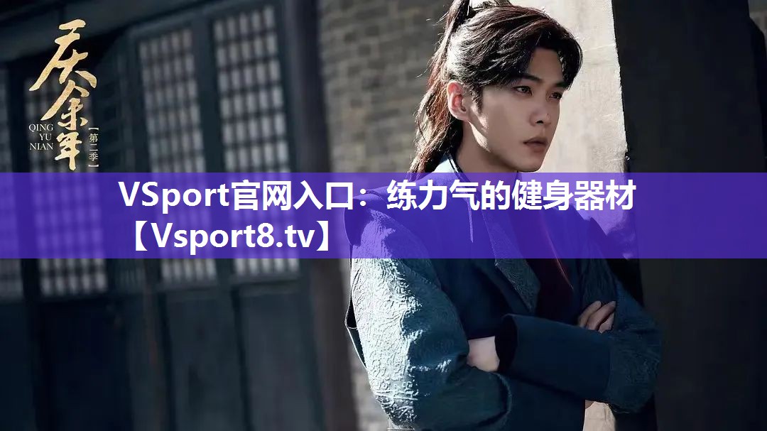 VSport官网入口：练力气的健身器材
