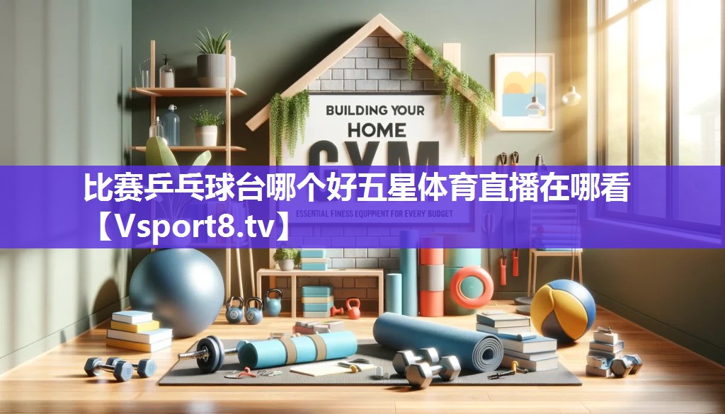 比赛乒乓球台哪个好五星体育直播在哪看