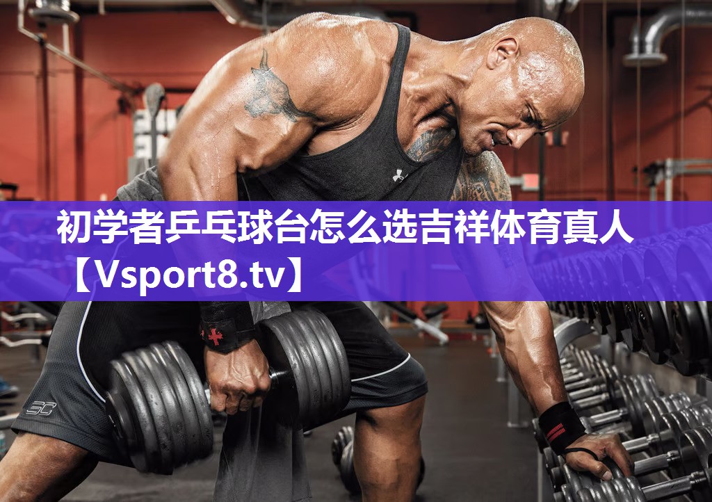 初学者乒乓球台怎么选吉祥体育真人