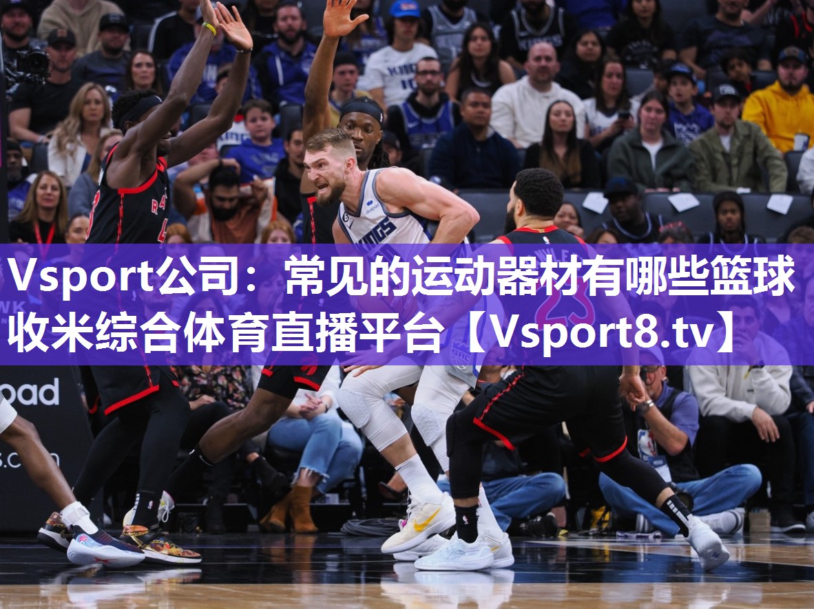Vsport公司：常见的运动器材有哪些篮球收米综合体育直播平台
