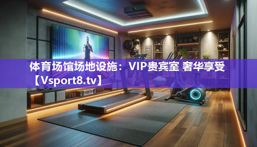 体育场馆场地设施：VIP贵宾室 奢华享受