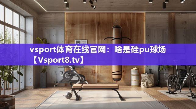 啥是硅pu球场