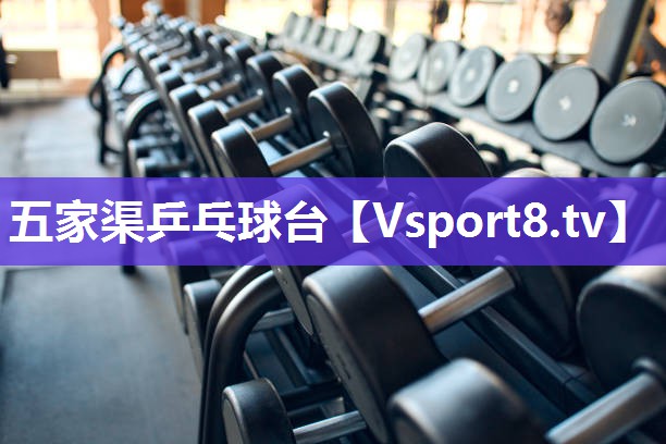 五家渠乒乓球台