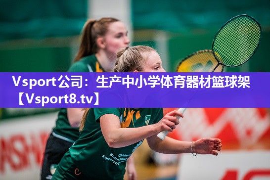 Vsport公司：生产中小学体育器材篮球架