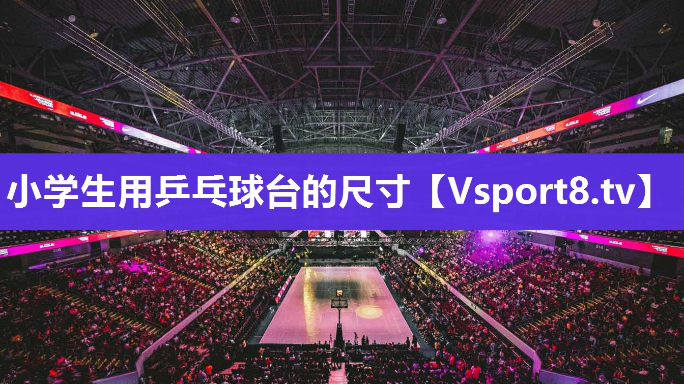 小学生用乒乓球台的尺寸