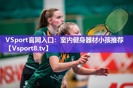 VSport官网入口：室内健身器材小孩推荐