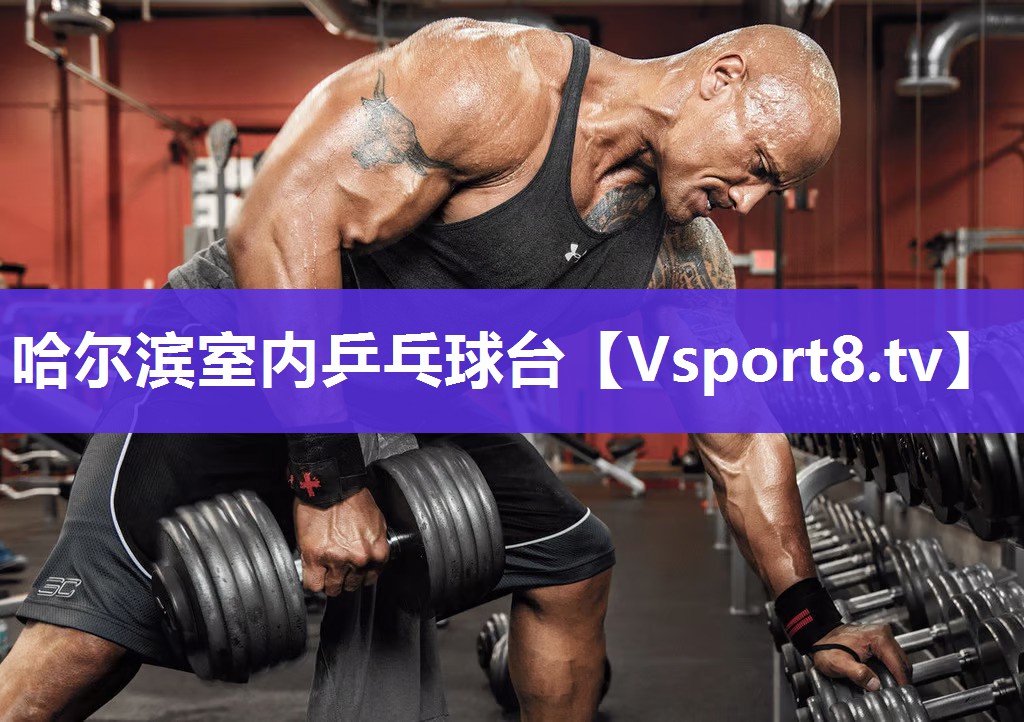 哈尔滨室内乒乓球台