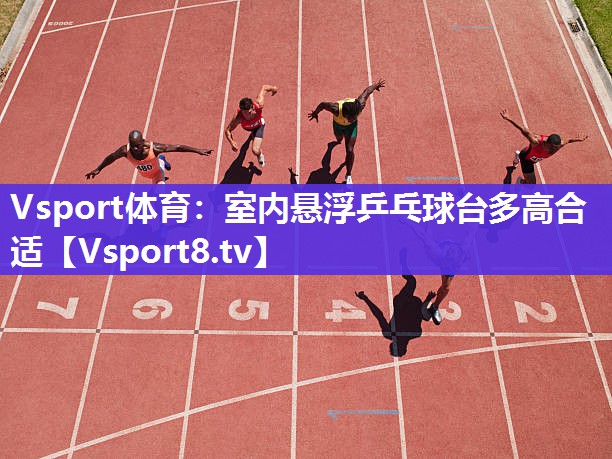 Vsport体育：室内悬浮乒乓球台多高合适