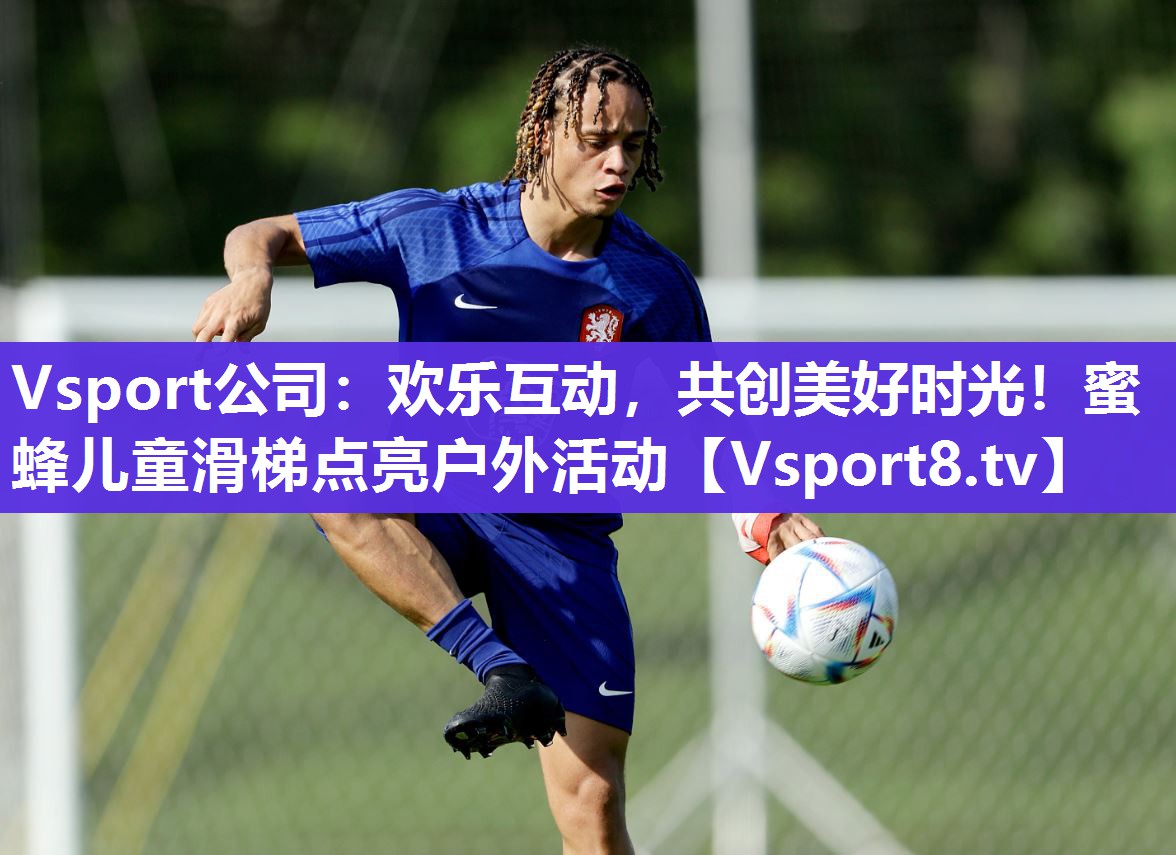 Vsport公司：欢乐互动，共创美好时光！蜜蜂儿童滑梯点亮户外活动