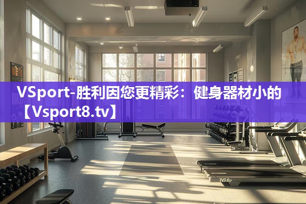 VSport-胜利因您更精彩：健身器材小的