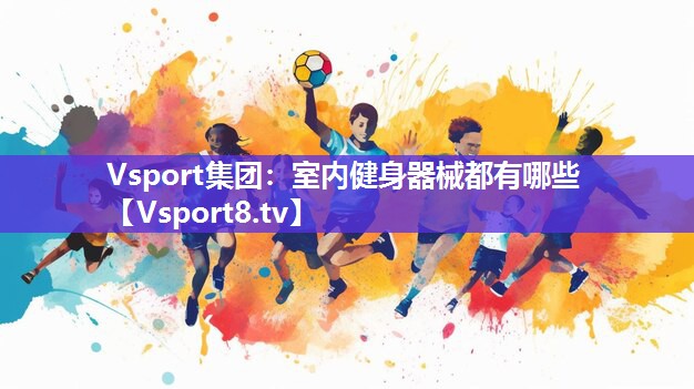 Vsport集团：室内健身器械都有哪些