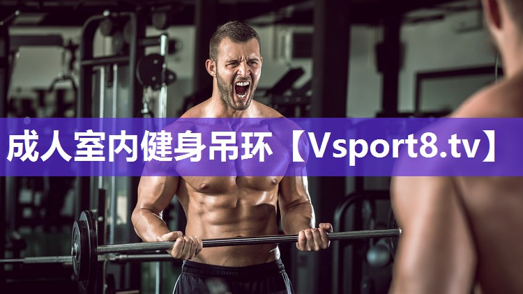 成人室内健身吊环