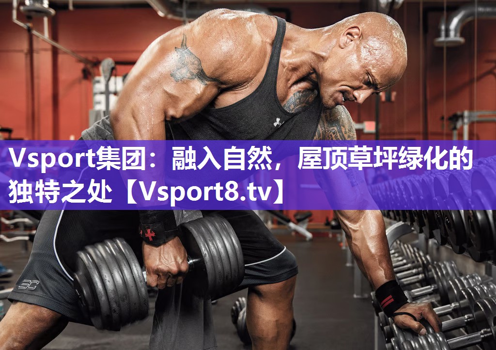 Vsport集团：融入自然，屋顶草坪绿化的独特之处