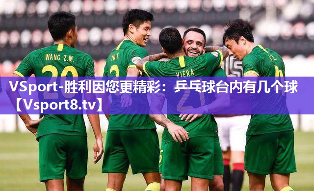 VSport-胜利因您更精彩：乒乓球台内有几个球