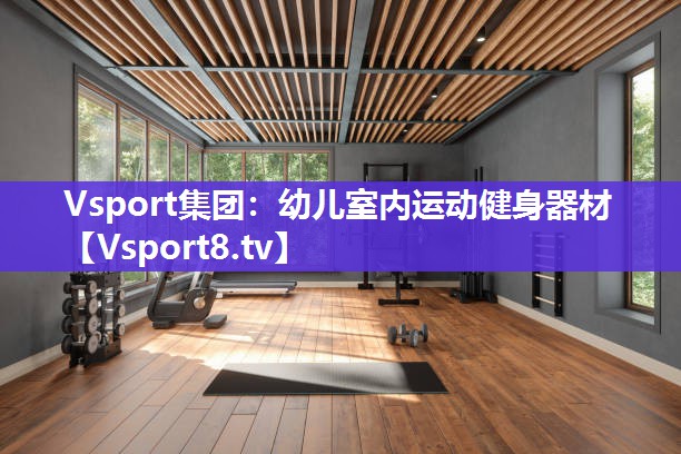 Vsport集团：幼儿室内运动健身器材