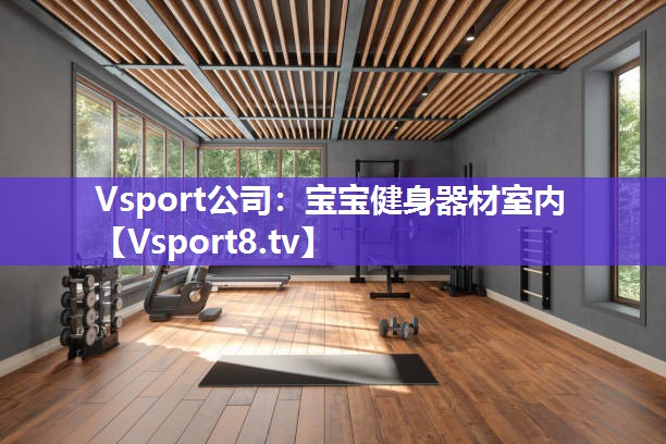Vsport公司：宝宝健身器材室内
