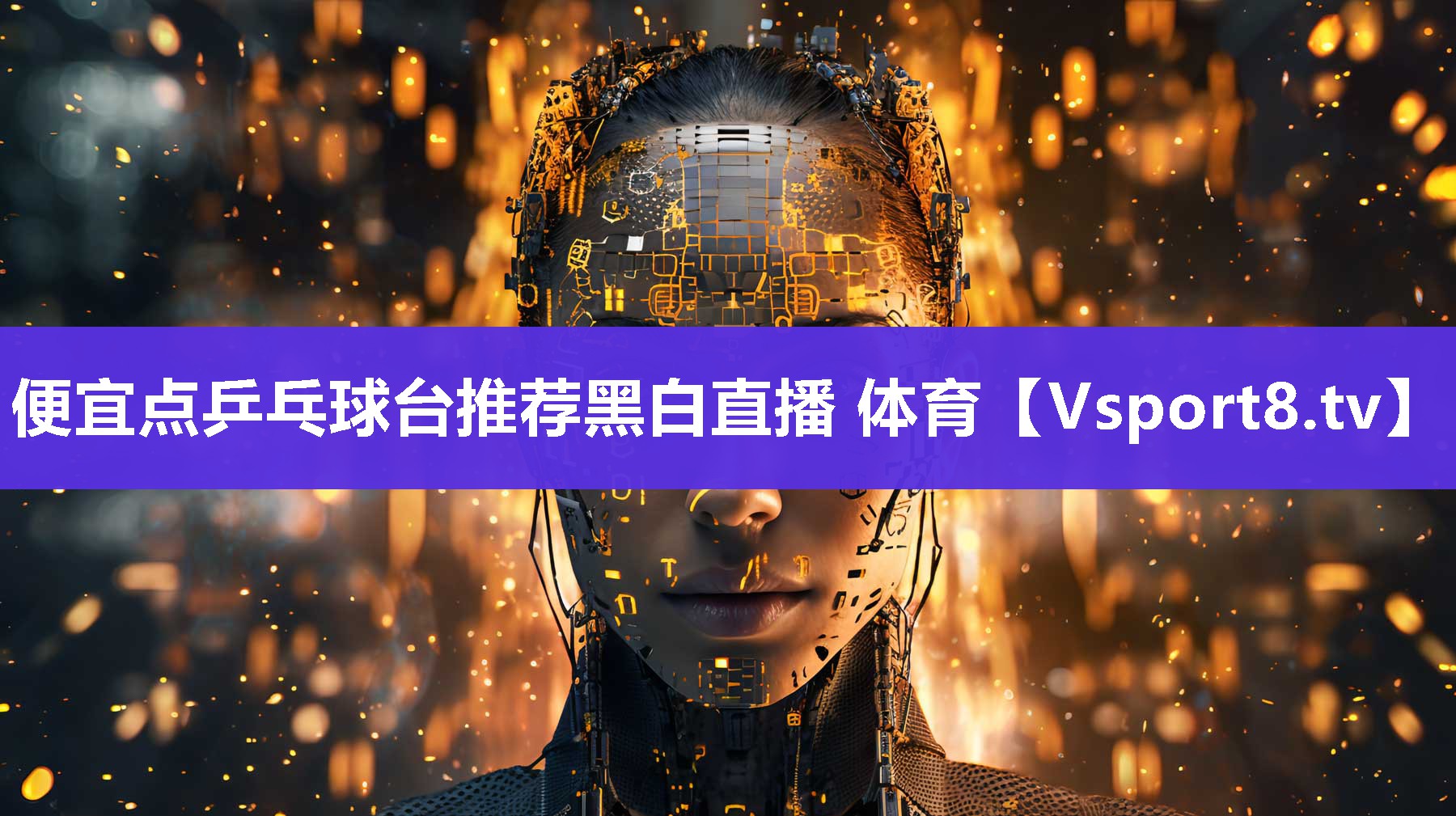 便宜点乒乓球台推荐黑白直播 体育