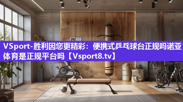 VSport-胜利因您更精彩：便携式乒乓球台正规吗诺亚体育是正规平台吗