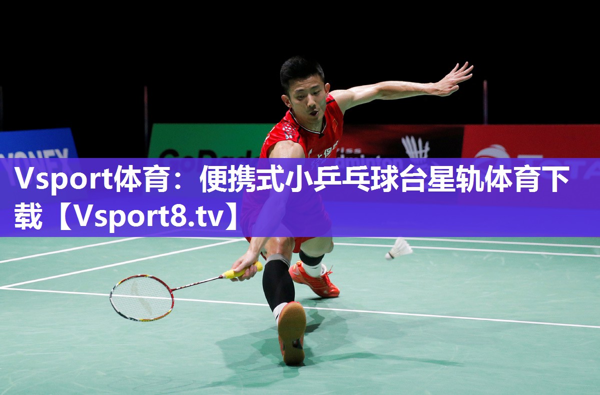 Vsport体育：便携式小乒乓球台星轨体育下载
