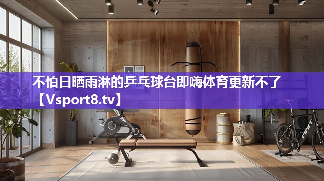 不怕日晒雨淋的乒乓球台即嗨体育更新不了