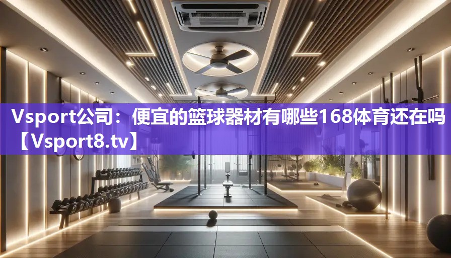 Vsport公司：便宜的篮球器材有哪些168体育还在吗