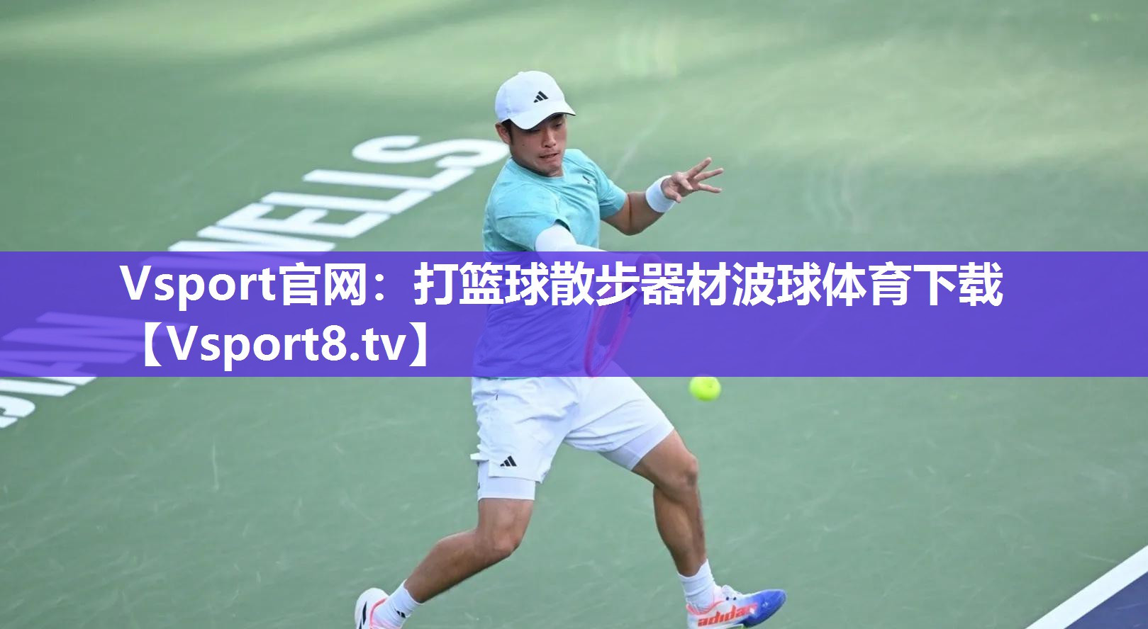 Vsport官网：打篮球散步器材波球体育下载