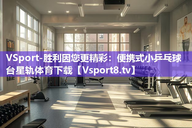 VSport-胜利因您更精彩：便携式小乒乓球台星轨体育下载
