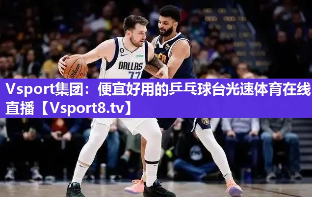 Vsport集团：便宜好用的乒乓球台光速体育在线直播