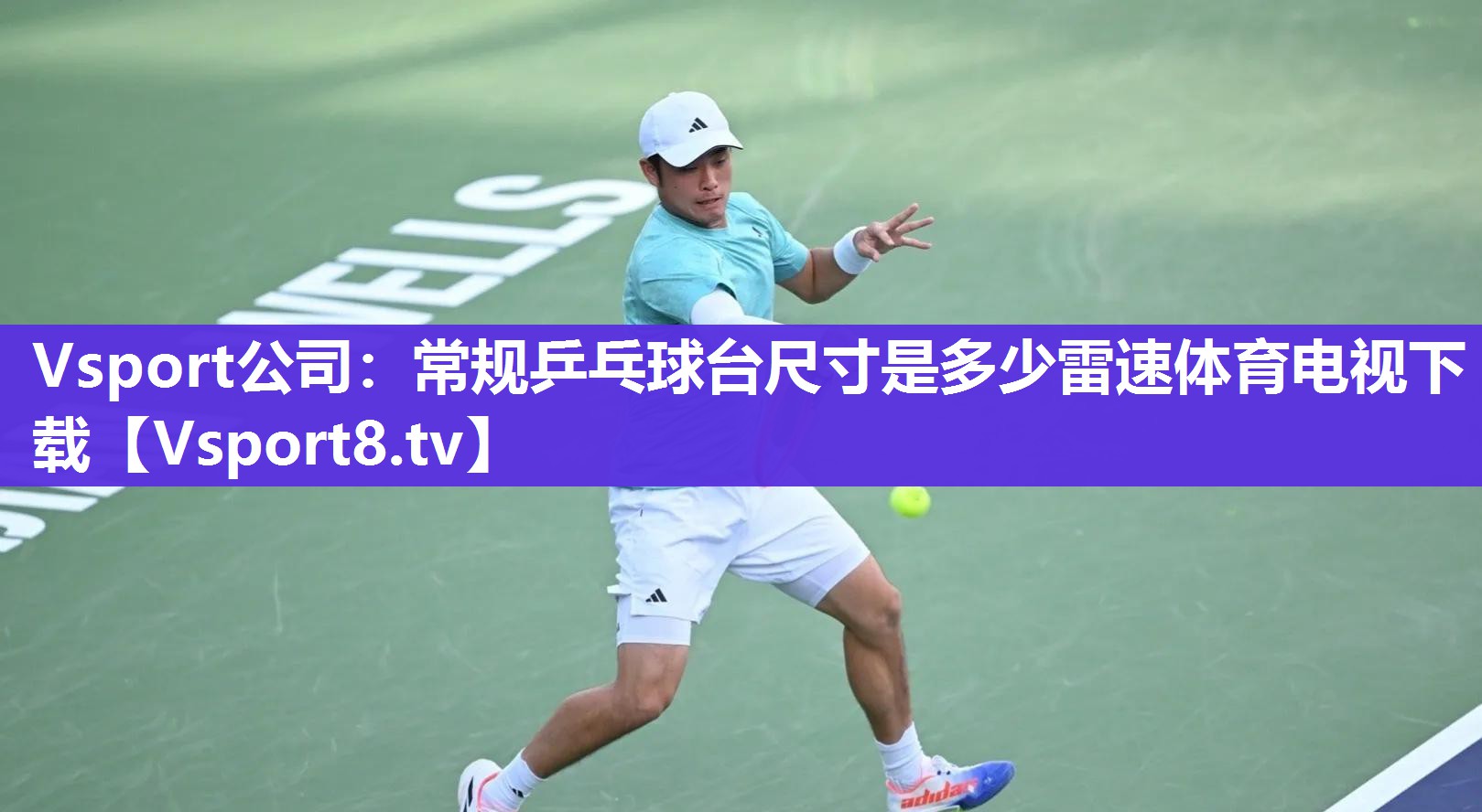 Vsport公司：常规乒乓球台尺寸是多少雷速体育电视下载