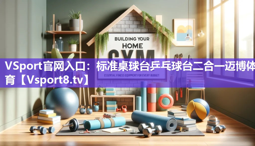 VSport官网入口：标准桌球台乒乓球台二合一迈博体育
