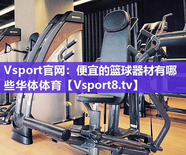 Vsport官网：便宜的篮球器材有哪些华体体育