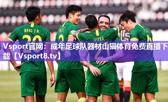 Vsport官网：成年足球队器材山猫体育免费直播下载