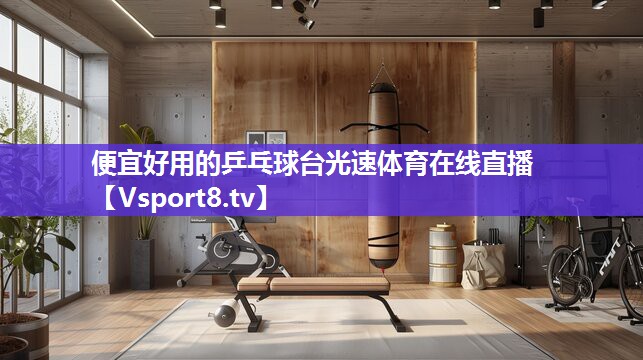 便宜好用的乒乓球台光速体育在线直播