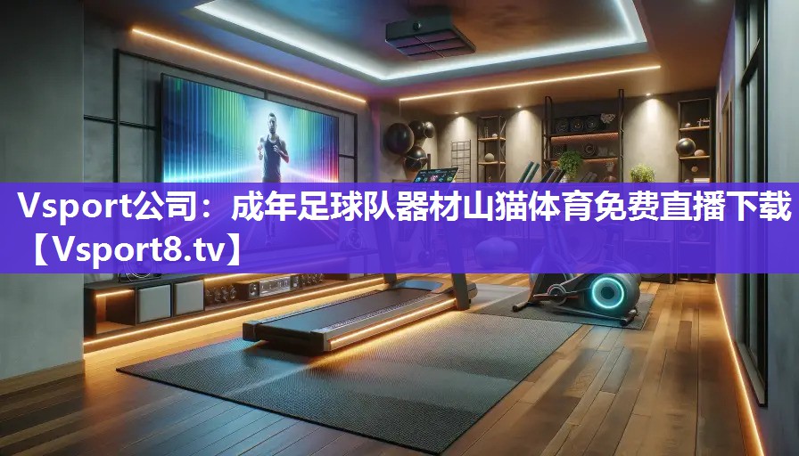 Vsport公司：成年足球队器材山猫体育免费直播下载