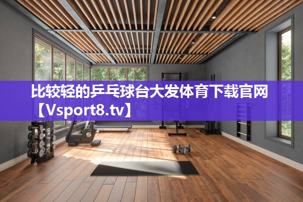比较轻的乒乓球台大发体育下载官网