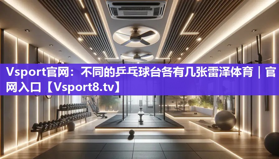 Vsport官网：不同的乒乓球台各有几张雷泽体育｜官网入口