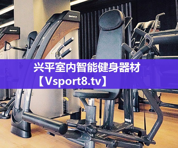 兴平室内智能健身器材