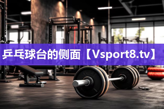 乒乓球台的侧面