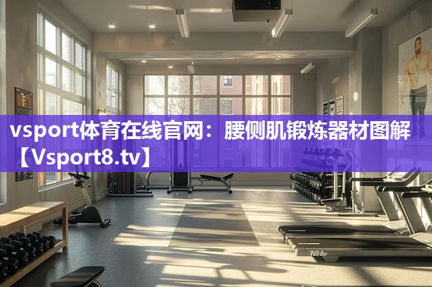 腰侧肌锻炼器材图解