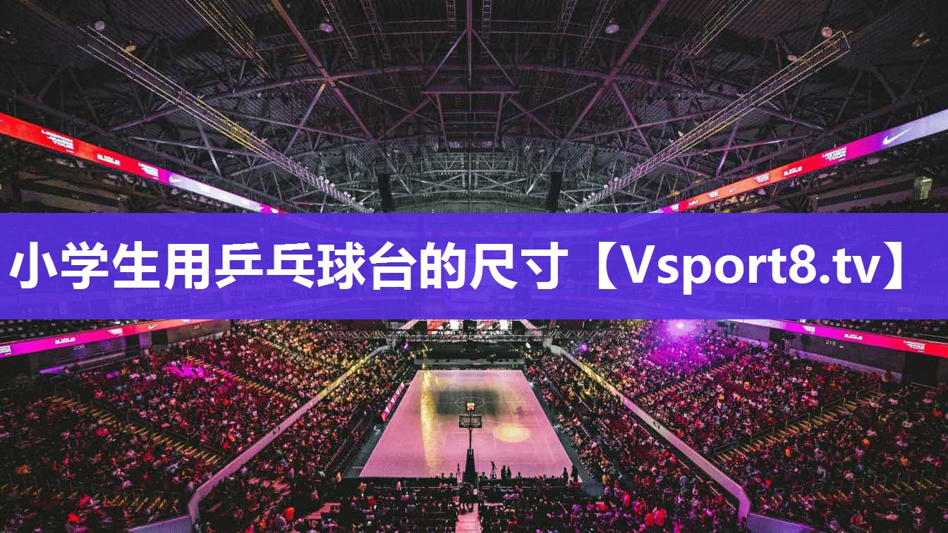 小学生用乒乓球台的尺寸
