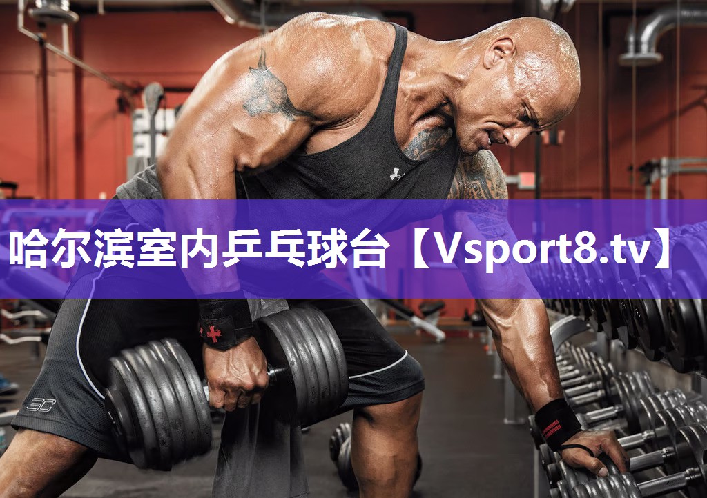 哈尔滨室内乒乓球台