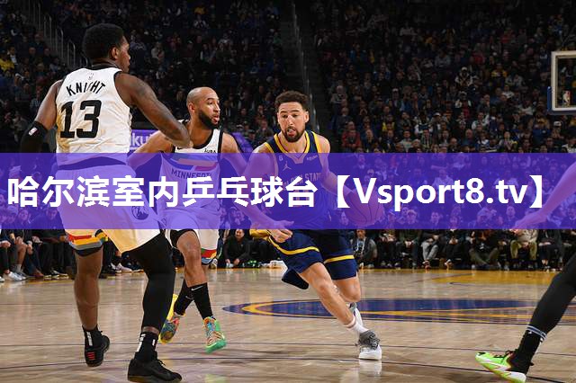 哈尔滨室内乒乓球台