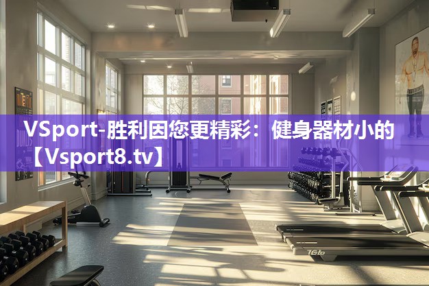 健身器材小的