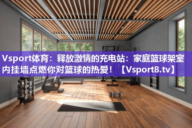 释放激情的充电站：家庭篮球架室内挂墙点燃你对篮球的热爱！