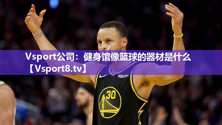健身馆像篮球的器材是什么