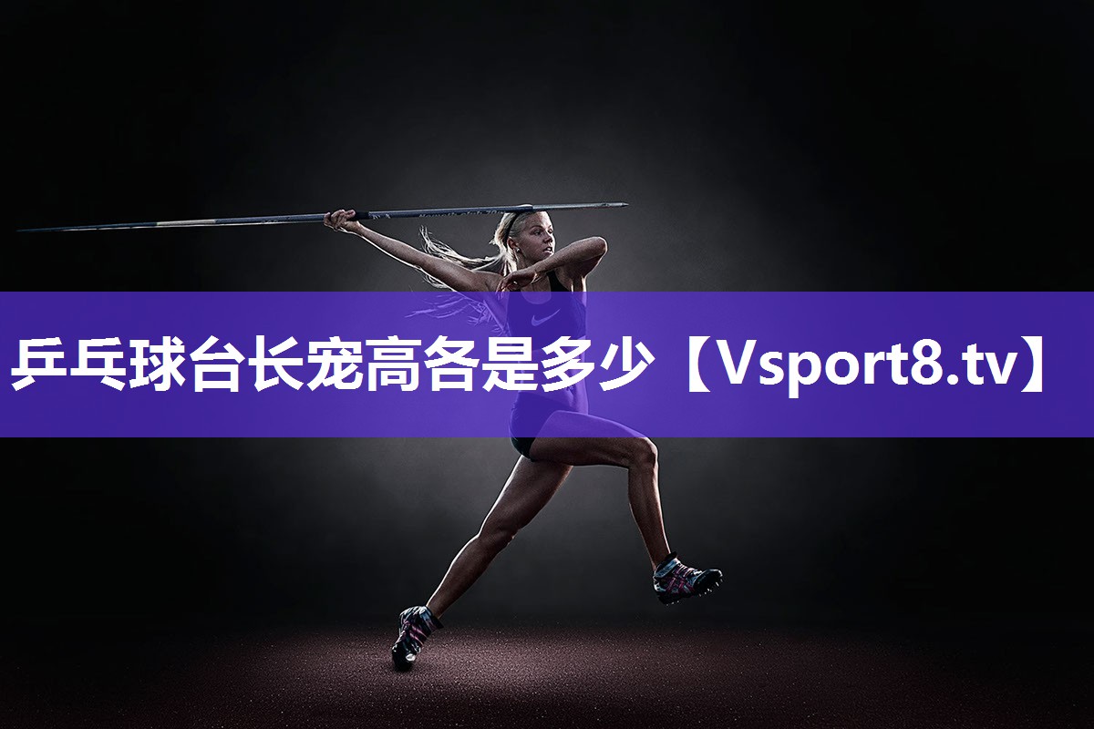 乒乓球台长宠高各是多少